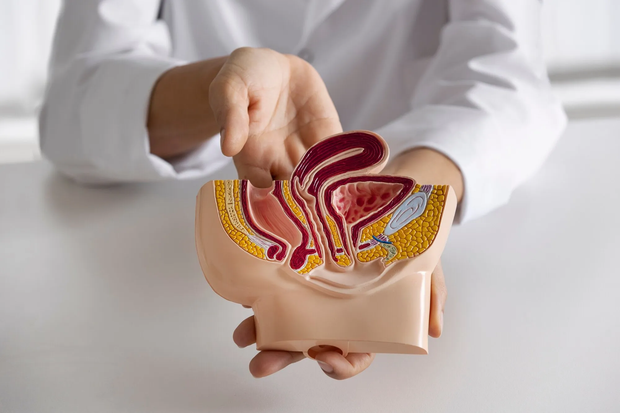 Urologie